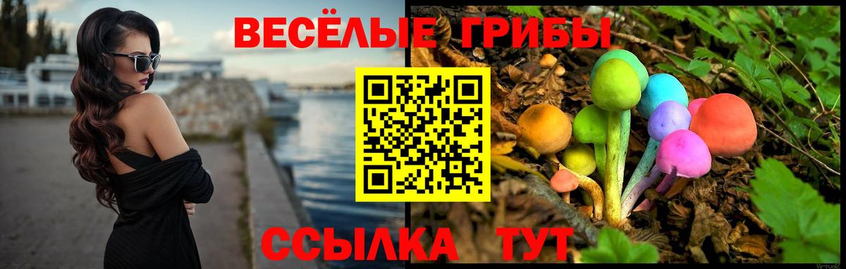 Галлюциногенные грибы ЛСД  Вход с VPN  Псилоцибиновые грибы Psilocybine cubensis  Нальчик 